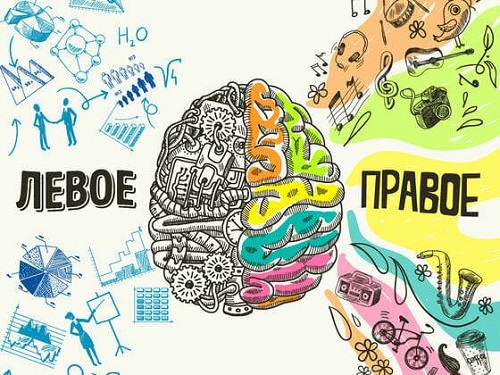 Сотрудники ГБУЗ «Вороновская больница ДЗМ» подготовили рекомендации по улучшению мозговой деятельности