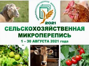 Всероссийская сельскохозяйственная перепись — 2021