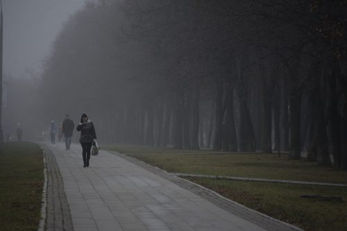 Жителей Москвы предупредили о надвигающемся тумане
