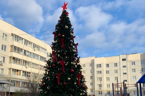 Новогоднюю елку установили в Вороновском