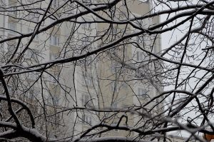 Ветер и сильный снег ожидают москвичей