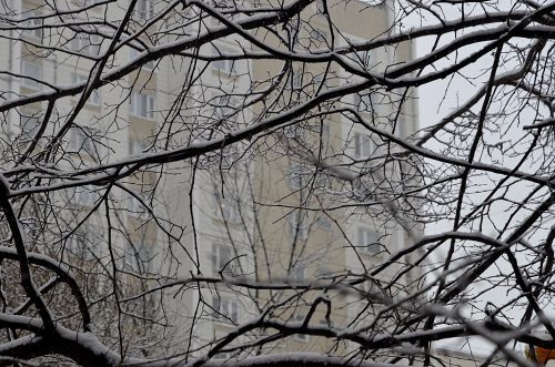 Ветер и сильный снег ожидают москвичей