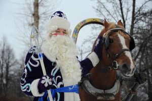 Молодые парламентарии Вороновского примут участие в акции «Дед Мороз в каждый дом»