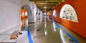 Столичные музеи продолжают принимать участие в проекте «Московская музейная неделя»