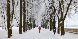 Первая неделя февраля в столице будет снежной и морозной