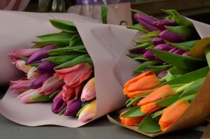 Более трех миллионов цветов вырастили в столице к женскому празднику