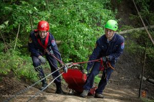 Спасатели ТиНАО приняли участие в мастер-классах в рамках подготовки к сезону «потеряшек»