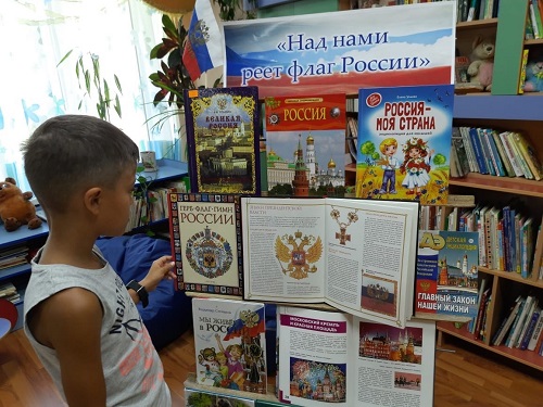 Познавательную беседу «Наше государство — наша страна» провели в библиотеке дома культуры