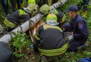 С мая спасатели и пожарные порядка 70 раз выезжали для поиска людей на природных территориях