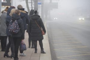 Туман и гололедицу спрогнозировали в столице