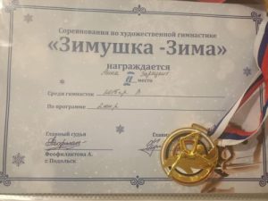 Гимнастки из Вороновского стали призерами соревнований
