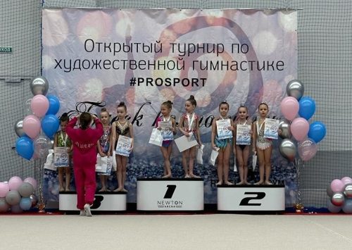 Художественные гимнастки из Вороновского достойно выступили на турнире
