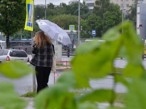 Жителей Москвы предупредили об ухудшении погодных условий из-за ветра и грозы