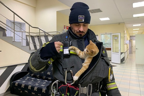 Каким животным помогали московские спасатели и пожарные в 2023 году