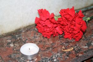 Больше, чем цветы: всероссийская благотворительная акция помощи ветеранам «Красная гвоздика»