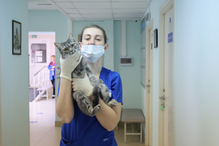Специалисты Госветслужбы Москвы проведут бесплатную вакцинацию животных в поселении Вороновское