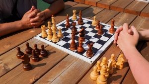 Сотрудники ДК «Дружба» проведут тематическое мероприятие в День шахмат