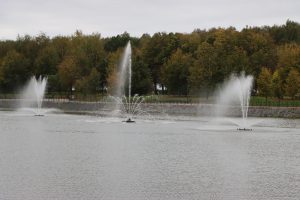 Прохладно, облачно, временами дожди: какой будет погода в Москве в ближайшие дни