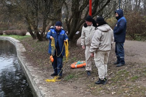 Проводим занятия для работников городских парков